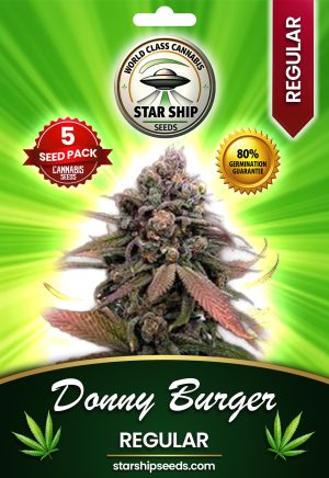 Donny Burger Strain Regular Marijuana Seeds
