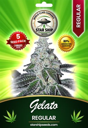 Gelato Strain Regular Marijuana Seeds