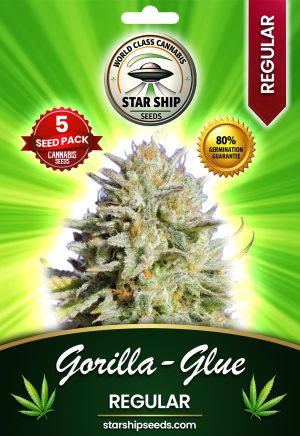 Gorilla Glue Strain Regular Marijuana Seeds
