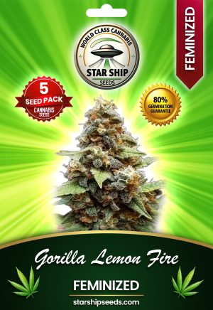 Gorilla Lemon Fire Strain Feminized Marijuana Seeds