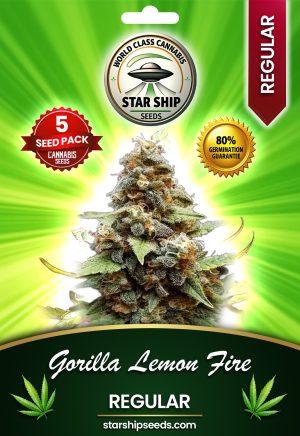 Gorilla Lemon Fire Strain Regular Marijuana Seeds