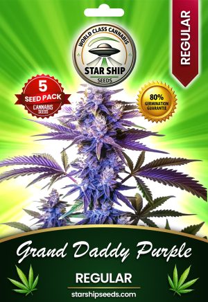 Grand Daddy Purple Regular Marijuana Seeds