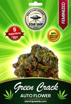 Green Crack Strain Autoflowering Marijuana Seeds