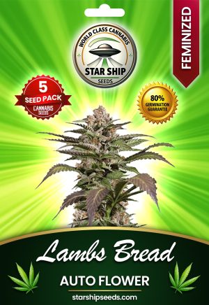 Lamb's Bread Strain Autoflowering Marijuana Seeds