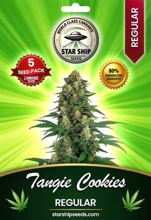 Tangie Cookies Strain Regular Marijuana Seeds