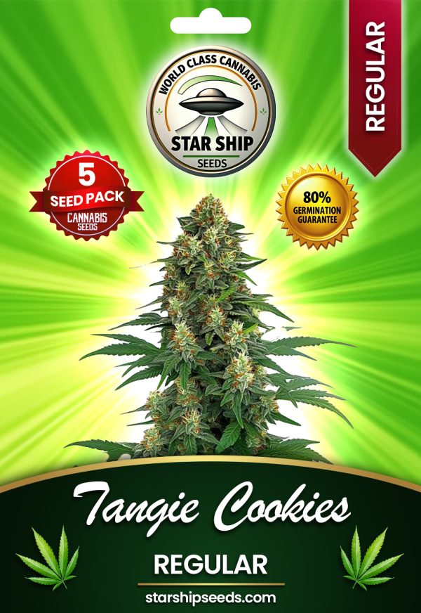 Tangie Cookies Strain Regular Marijuana Seeds